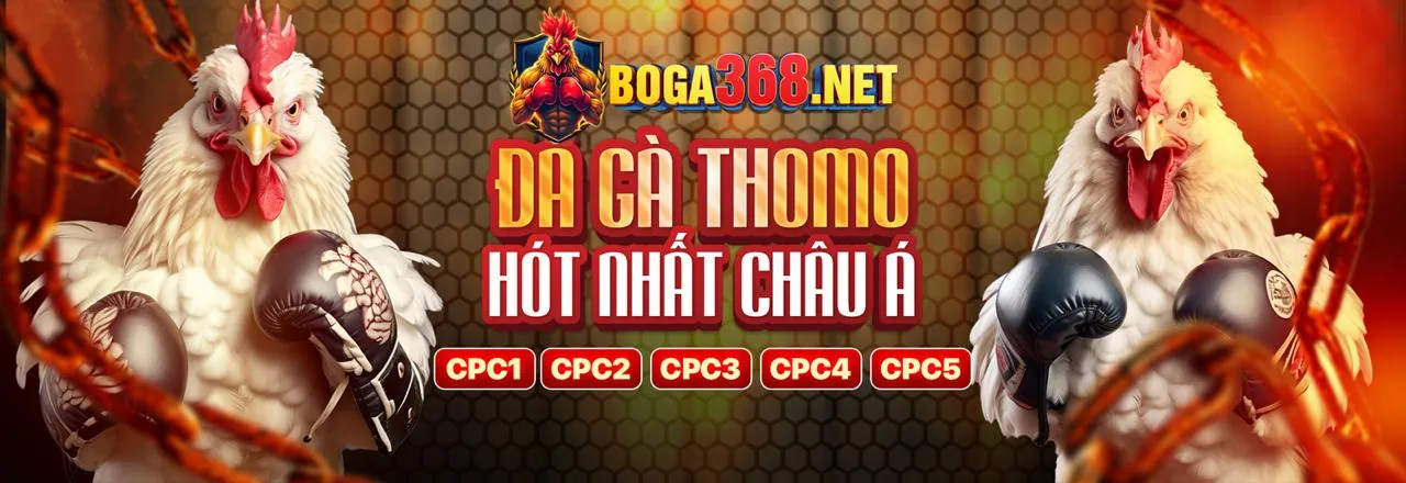 Tin tức xin88 cool