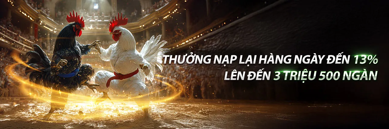 Các chương trình khuyến mãi độc quyền của Xin88 Cool